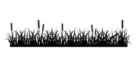 Design element - silhouette of grass and spikelets. vectorのイラスト素材
