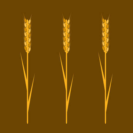 Wheaten ear- Design element. EPS10 vector image.のイラスト素材