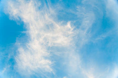 Light Sky Background for your design.の写真素材