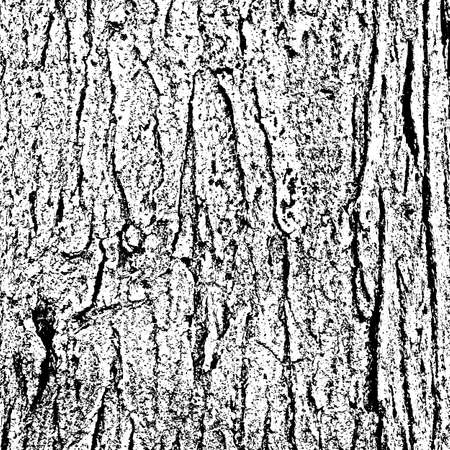 Overlay Bark Texture for your design. EPS10 vector.のイラスト素材