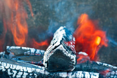 Trunks in bonfire closeup.の写真素材