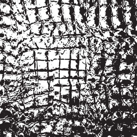 Skin Crocodileのイラスト素材