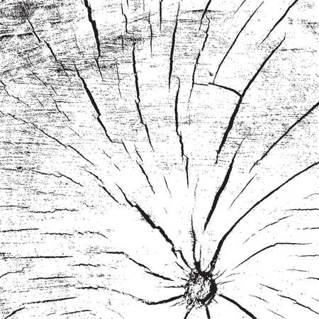 Sawed Wood Overlay Texture for your design. EPS10 vector.のイラスト素材