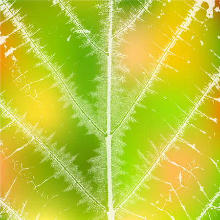 Distress Leaf texture for your design. EPS10 vector.のイラスト素材