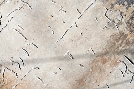 Distressed cement grunge background for your design.