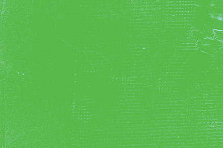 Distress Overlay Grainy Texture Of Green Color. Grunge design Empty Element.  vector.