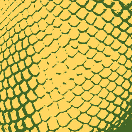 Serpent skin texture. Grunge distressed background. EPS10 vector.のイラスト素材