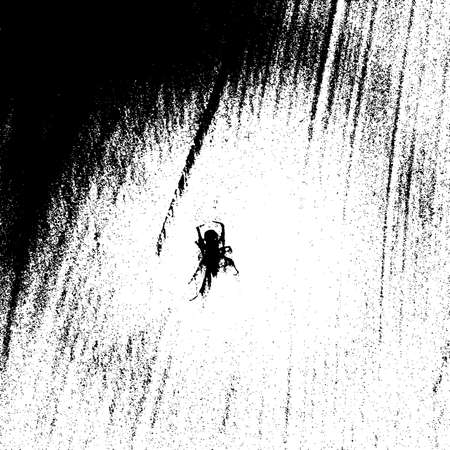 Grunge old wood black cover template. Wooden dry planks diagonal distressed overlay texture with knot. Weathered rural grainy timber backdrop. Aged dried board creative element. EPS10 vector.のイラスト素材