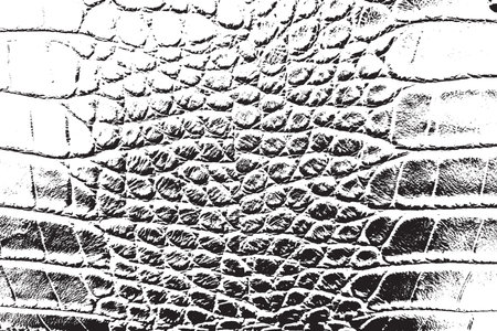 Skin dirty grunge background. Distress leather Overlay, Retro used Texture. black paint ground. Urban aged serpent backdrop. Rough wild filled, cover for aging your design.のイラスト素材
