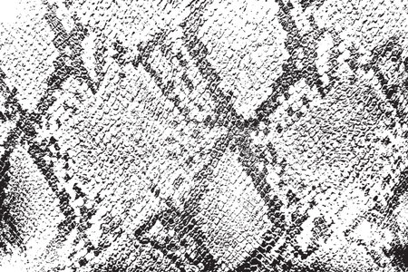 Skin dirty grunge background. Distress leather Overlay, Retro used Texture. black paint ground. Urban aged serpent backdrop. Rough wild filled, cover for aging your design.のイラスト素材
