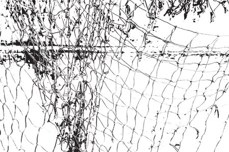Fishing net black overlay grunge texture. Marine grid distress background. Empty template for aging your design.のイラスト素材