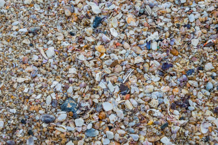 Pebbles and shell on the beach,Bangsean,Thailand.の写真素材