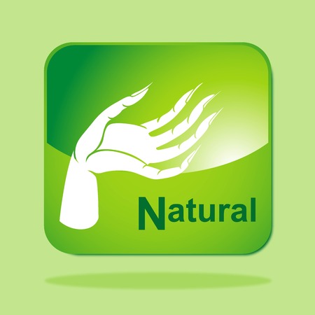 Green Eco icon concept-Naturalのイラスト素材