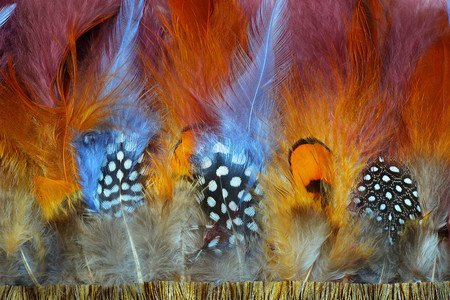 Bohemian boho style vintage color trends ,Chicken feather texture backgroundの写真素材
