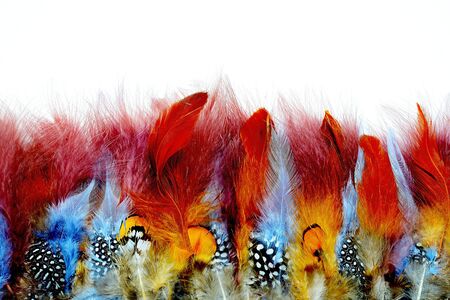 Bohemian boho style vintage color trends ,Chicken feather texture backgroundの写真素材