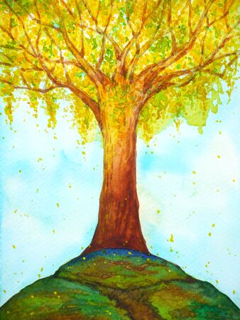 golden shower tree art watercolor painting illustration design hand drawingの写真素材