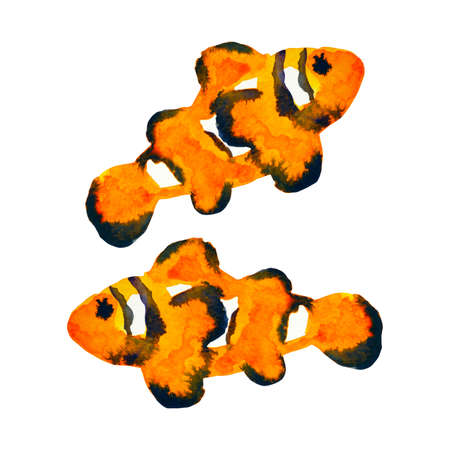 orange clownfish swimming in sea ocean watercolor painting illustration design hand drawingの写真素材