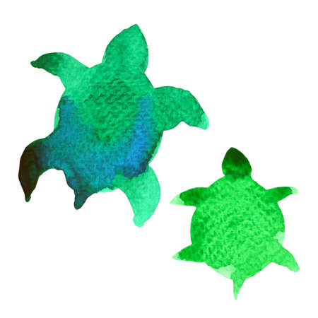 mom and baby turtle watercolor painting illustration design hand drawingの写真素材