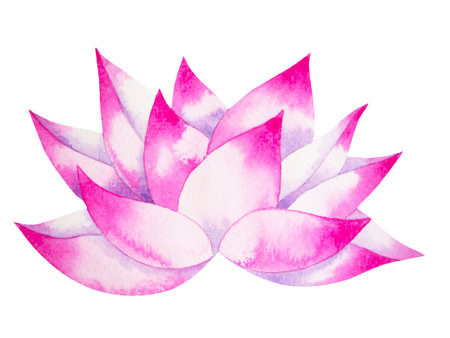 pink white color lotus flower nature plant blossom water lily chakra symbol logo icon reiki mind spiritual health healing holistic energy mandala watercolor painting art illustration design isolatedの写真素材