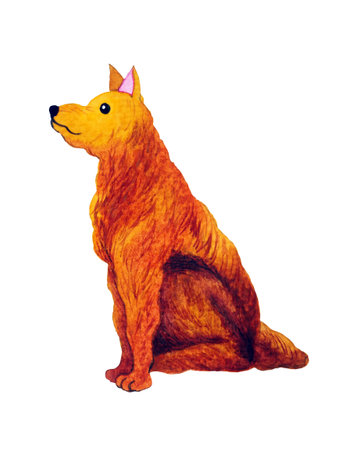 golden retriever brown fur dog lovely friendly animal pet puppy sitting pose art watercolor painting illustration design hand drawing colorの写真素材