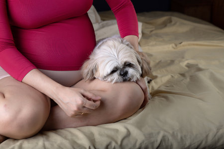 Pregnant woman expecting a baby relaxing in bed indoors with a small dog.の写真素材
