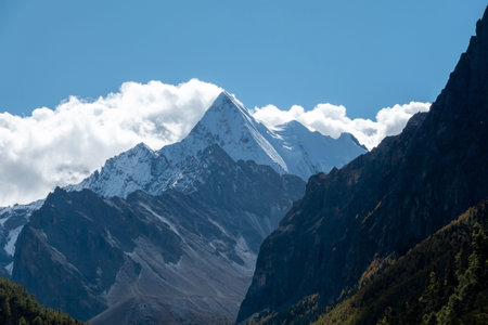 Colorful in autumn forest and snow mountain at Yading nature reserve, The last Shangri la,...