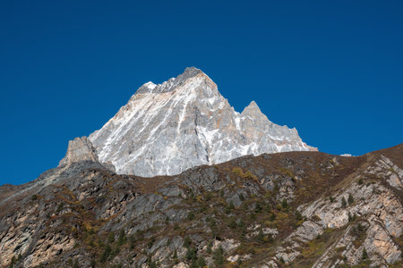 Colorful in autumn forest and snow mountain at Yading nature reserve, The last Shangri la, Daocheng-Yading, Sichuan, China.の写真素材