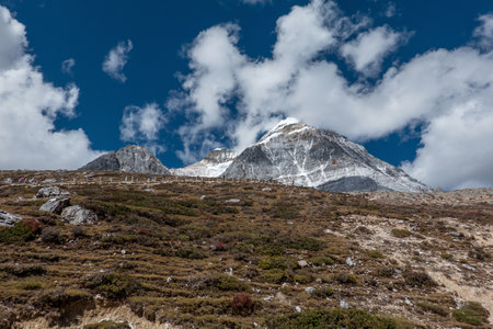 Colorful in autumn forest and snow mountain at Yading nature reserve, The last Shangri la, Daocheng-Yading, Sichuan, China.の写真素材