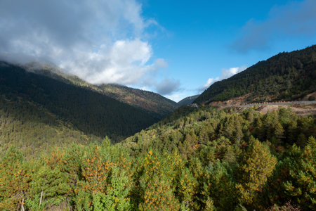 Colorful in autumn forest and snow mountain at Yading nature reserve, The last Shangri la, Daocheng-Yading, Sichuan, China.の写真素材
