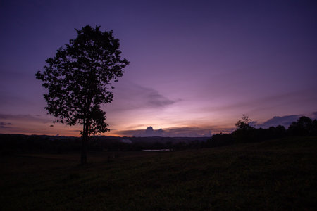 Silhouettes of trees on meadows with sunset and clouds background. The sun shining through a tree on a meadow with blue sky before sunsetの写真素材