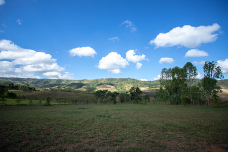 Green meadows with blue sky and clouds background.
Landscape view of green grass on a slope with blue sky and clouds background.の写真素材