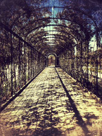 Park in Austriaのeditorial素材