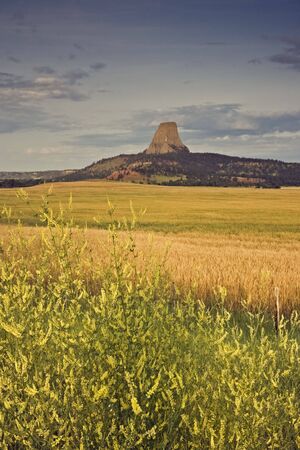 Devil's Tower National Monument in Wyoming.の写真素材