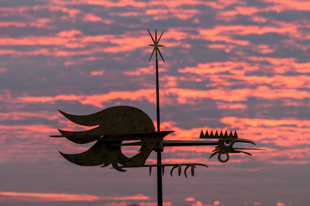 Rooster on the roof. Tallin, Estonia.