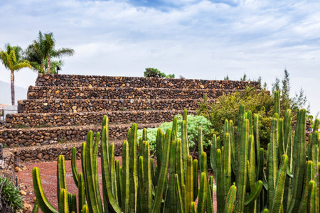 Pyramids of Guimar. Tenerife, Canary Islands, Spain.の写真素材