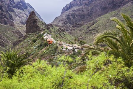 Panorama of Masca, Tenerife. Tenerife, Canary Islands, Spain.の写真素材