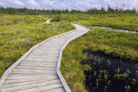 Cape Breton Highlands National Park in Nova Scotia. Nova Scotia, Canada.の写真素材
