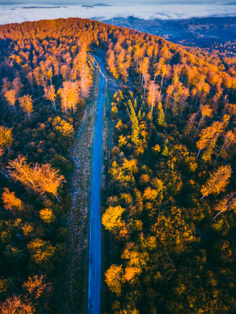 Road in the forest. Subcarpathia, Poland.の写真素材