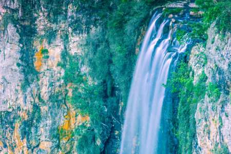 Tamborine Waterfall in Tamborine National Park, Queensland, Australia