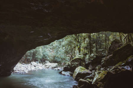 Waterfalls in Springbrook National Park. Queensland, Australia.の写真素材