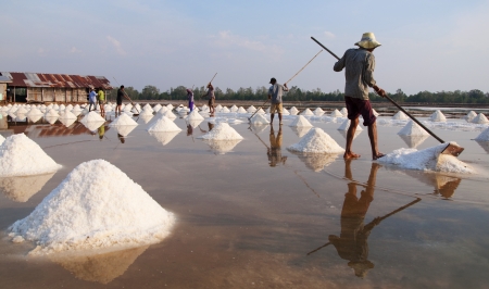 salt farmのeditorial素材