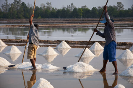 salt farmのeditorial素材