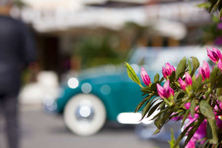 Flowersの写真素材