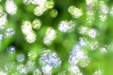 Green bokeh abstract light backgroundの写真素材