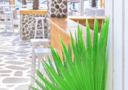 Beach bar close with green reedの写真素材
