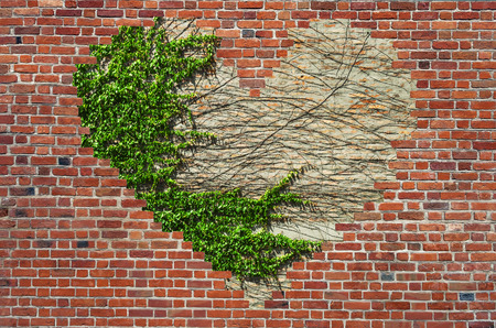 Hole shape heart inside brick wall, Symbol of love, brick wall heartの写真素材