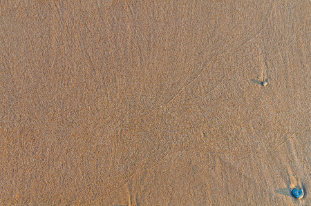Sandy beach background, detailed sand texture, top viewの写真素材