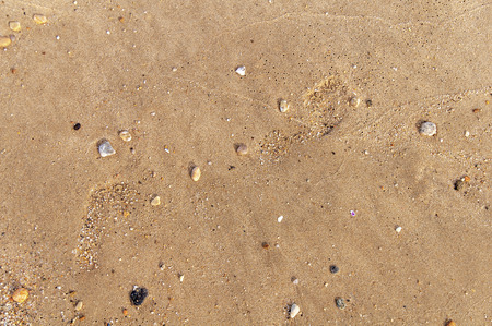 Sandy beach and stone for backgroundの写真素材