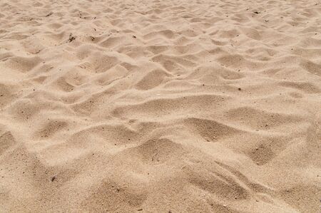 Sandy beach background textureの写真素材