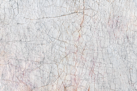 Texture of sea stone textureの写真素材